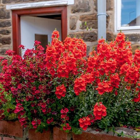 Chimes Cottage Guisborough Eksteriør billede