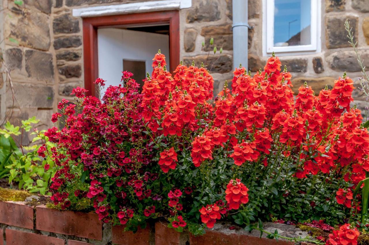 Chimes Cottage Guisborough Eksteriør billede